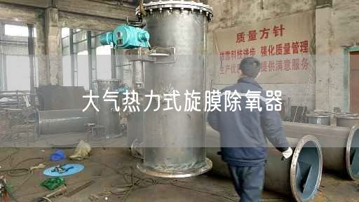 大气热力式旋膜除氧器