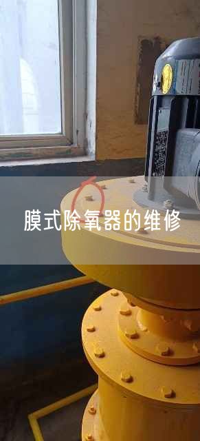 膜式除氧器的维修