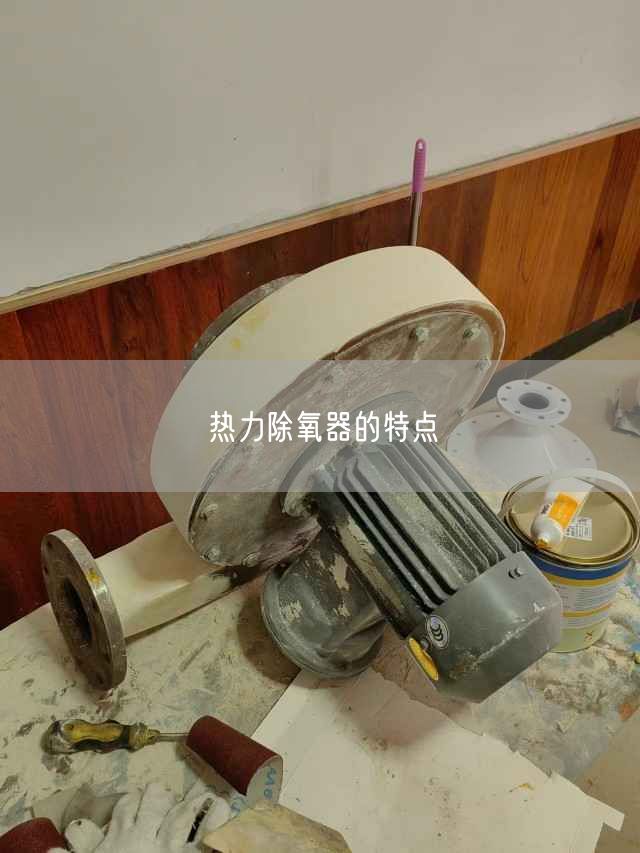 热力除氧器的特点