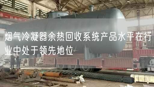 烟气冷凝器余热回收系统产品水平在行业中处于遥遥先地位